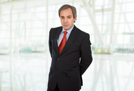 mature business man portrait at the office