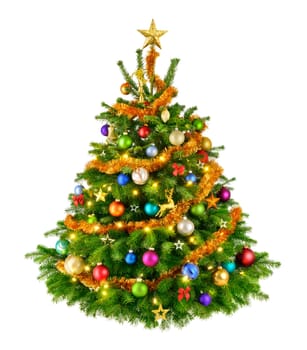 Joyful studio shot of an elegant natural Christmas tree with colorful ornaments,isolated on white