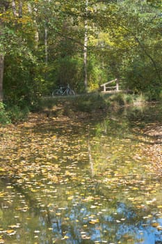 Bike Trip Among Autumn Colors as Recreational Pursuit