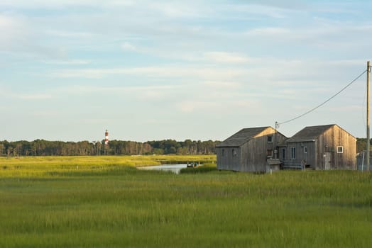 Wetland Conservation with Lighthouse and Boathouse at the Virginia National Seashore