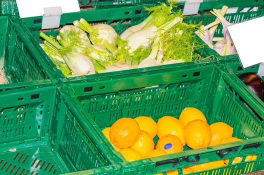 Fresh green fennel with green leaves and oranges for sale.