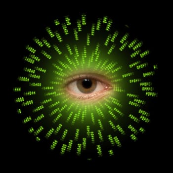 An eye observes the data transmission in a computer system.