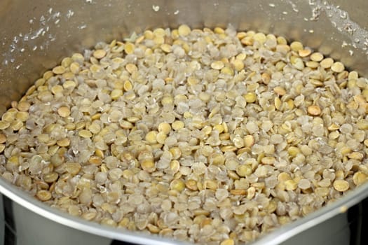 Closeup of cooked green lentils still in the small stainless steel saucepan