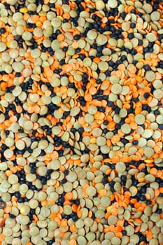 Background of organic, dry, uncooked orange, green and black lentils. From above close up of three colors of many black, orange and green lentils filling up a surface..