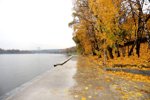 Moscow river embankment covered with autumn yellow leaves