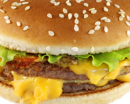 double cheeseburger is photographed close-up on white background