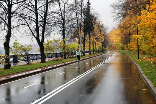 Girl walking on the wet road among an autumn forest covered with yellow leaves