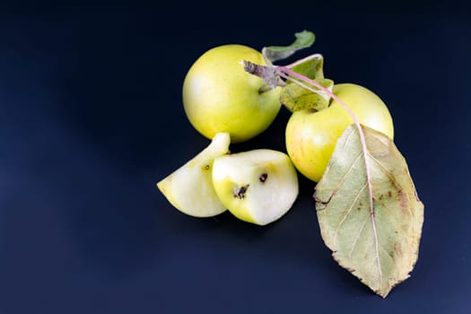 Apple can