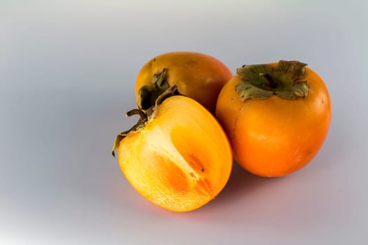 Kaki cross-section