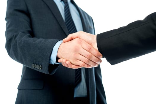 Business people greeting each other