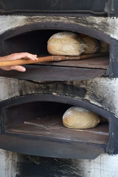 Baker gets freshly baked loaves of bread from a wood-fired oven