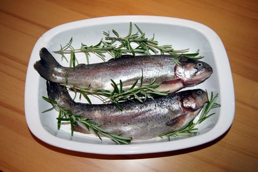 Loot from the last fishing tour,trout with rosemary