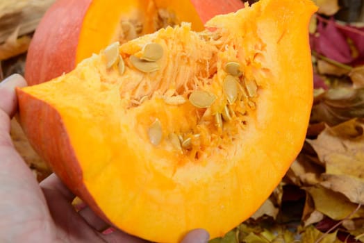 closeup of a slice of pumpkin to make a soup or pie