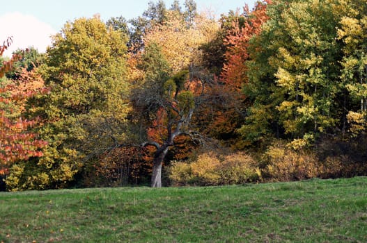 Autumn landscape