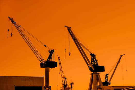 Cranes silhouettes at a shipping harbor in the morning