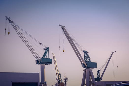 Cranes at a shipping harbor in the morning
