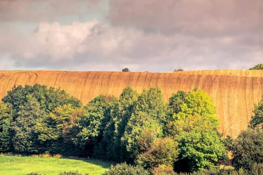 Agricultural hillside fields with green trees in the summer
