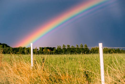 Rainbow at a field with a white fence