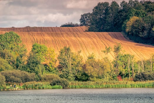 Agricultural hillside fields above a lake in the summer