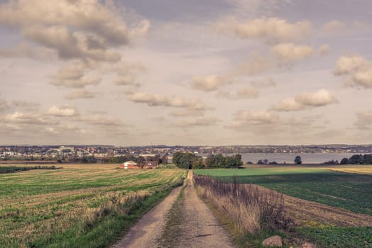 Long road in a countryside with fields