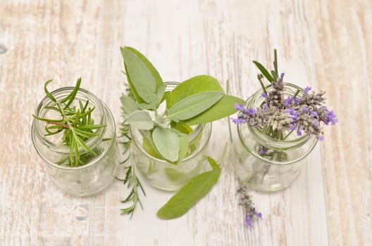 Three herbs in glasses on a rustic wooden table