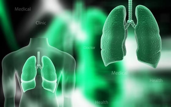 Digital illustration of human lungs in colour background