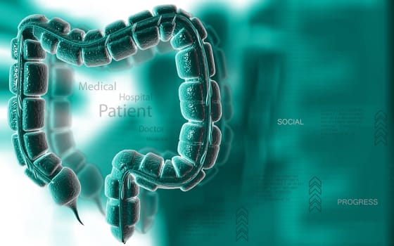 Digital illustration of large intestine in colour background