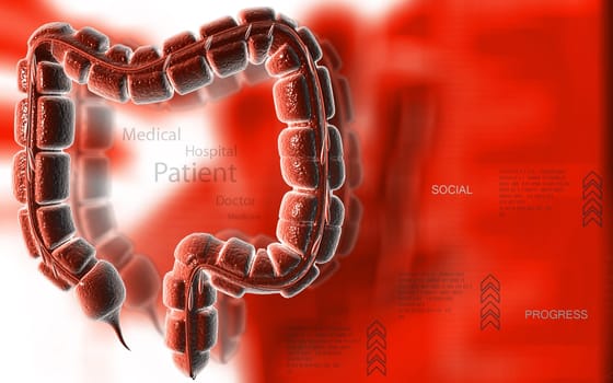 Digital illustration of large intestine in colour background