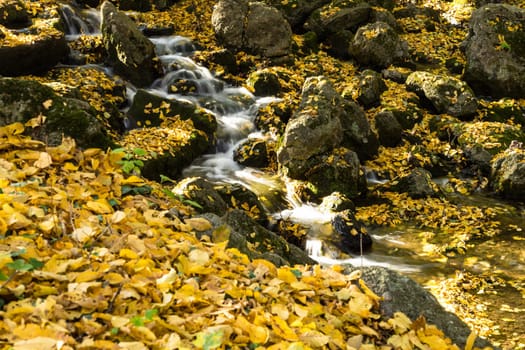 Waterfall in autumn,forest floor with covered foliage