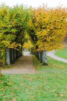 the garden at Gunnebo castle in sweden the tree i beutiful