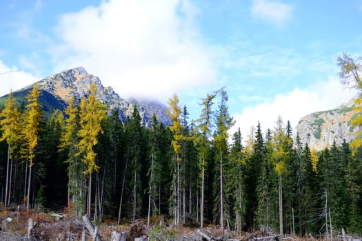 High Tatras Mountains in Slovakia