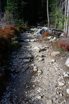 Tourist path in mountains, Slovakia