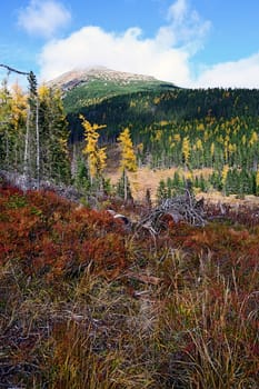 High Tatras Mountains in Slovakia