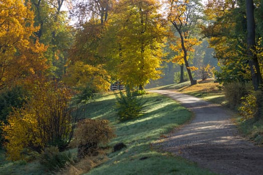 Gravel path through the park with autumnal leaves on the trees