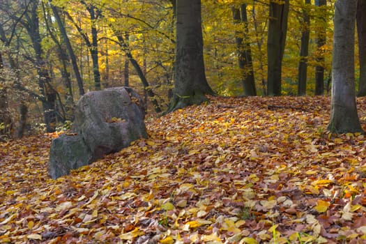 Large stone in the autumnally discoloured forest of a park