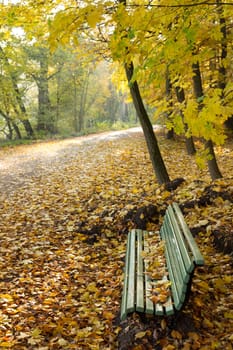 Park bench on the hiking trail with autumn foliage and sunshine