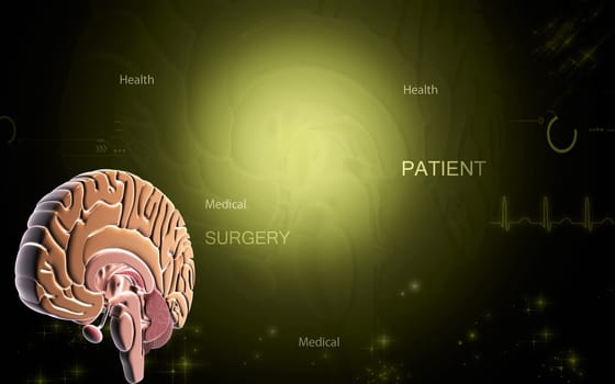Digital illustration of brain in colour background