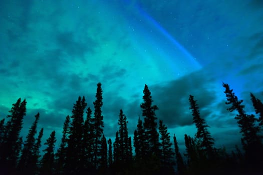 The Northern Lights emerge through the clouds in remote Alaska