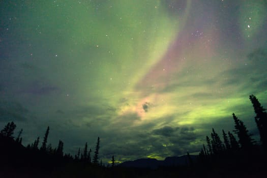 The Northern Lights appear in Wrangell St. Elias National Park
