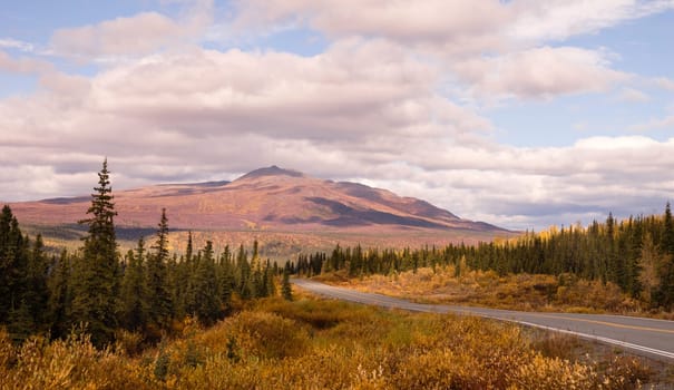 The colors turn to red, yellow, and orange during the fall in south central Alaska
