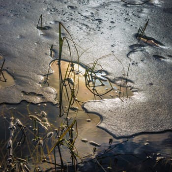 Melting ice on a pond in spring, close-up