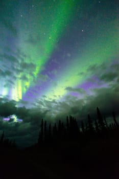 The Northern Lights appear in Wrangell St. Elias National Park