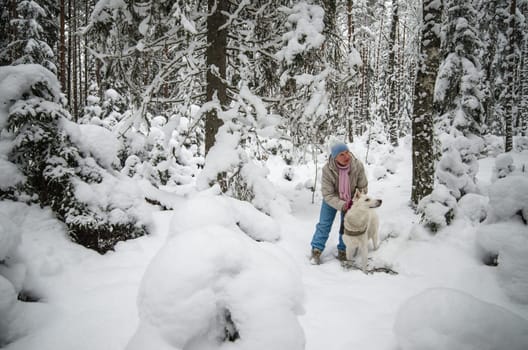 The woman with a dog on walk in a winter wood