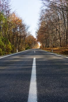 Country road through autumnal forest,landscape in autumn with colourful forest