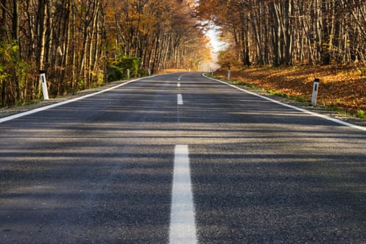 Country road through autumnal forest,landscape in autumn with colourful forest