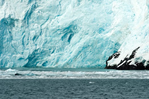 Little Icebergs float of from Glacier Calving
