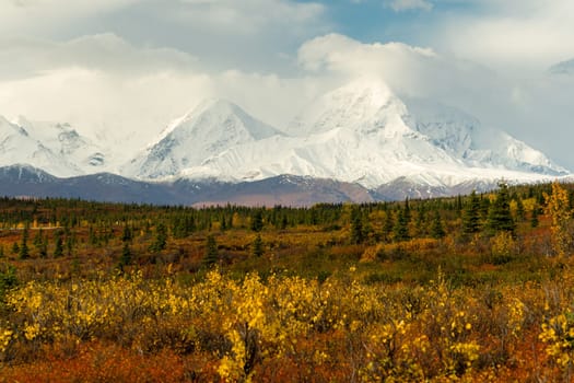 The tundra reacts to the weather in remote Alaska