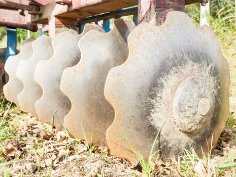 Tool for agriculture