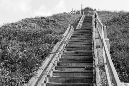 Stairs up hillside in black and white vintage tone