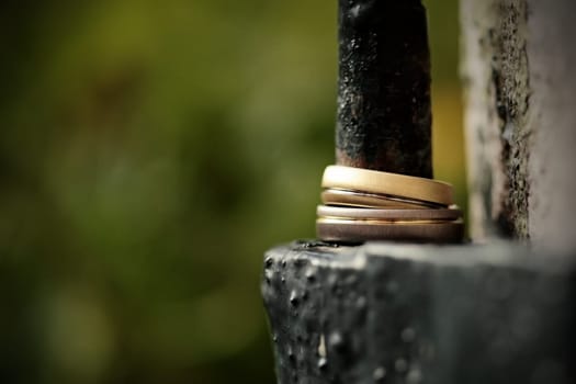 Wedding rings - wedding rings